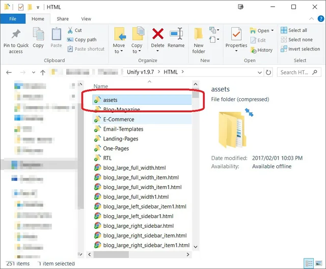 Theme assets folder in file explorer