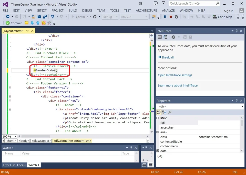 RenderBody placement in theme content section